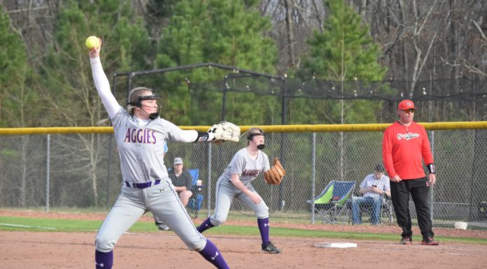 PREP SOFTBALL: Fairview pulls away to win area-opener at Good Hope 10-2