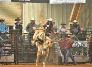 Stars and Stripes Rodeo sees packed house; event continues tonight