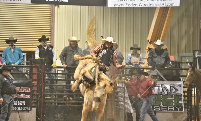 Stars and Stripes Rodeo sees packed house; event continues tonight