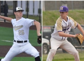 PREP BASEBALL: 2020 season recap; COVID-19 brings early end to spring sports