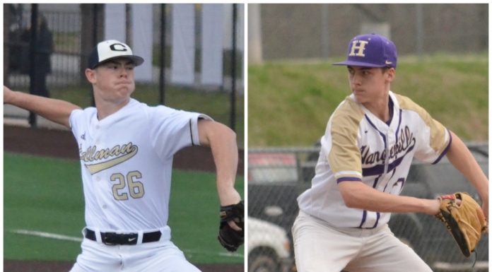 PREP BASEBALL: 2020 season recap; COVID-19 brings early end to spring sports