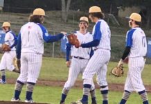 PREP BASEBALL: Waldrep tosses 1-hitter in Addison’s 3-0 win over Danville