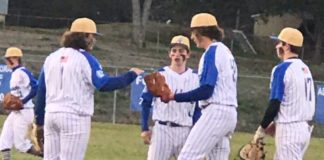 PREP BASEBALL: Waldrep tosses 1-hitter in Addison’s 3-0 win over Danville