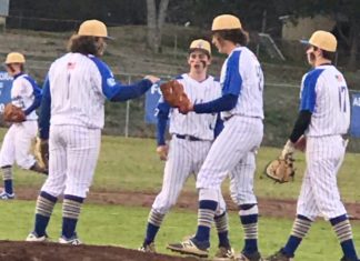 PREP BASEBALL: Waldrep tosses 1-hitter in Addison’s 3-0 win over Danville