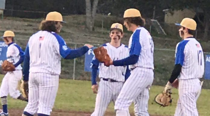 PREP BASEBALL: Waldrep tosses 1-hitter in Addison’s 3-0 win over Danville