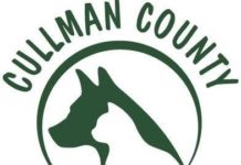 Cullman County Animal Shelter closes down for deep clean amidst COVID-19 concerns