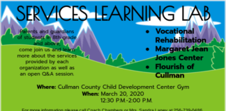 (Postponed) Child Development Center to host services learning lab March 20