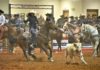 37th Annual Stars and Stripes Rodeo March 6-7