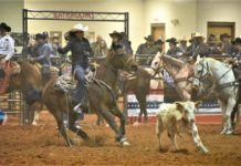 37th Annual Stars and Stripes Rodeo March 6-7
