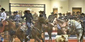 37th Annual Stars and Stripes Rodeo March 6-7