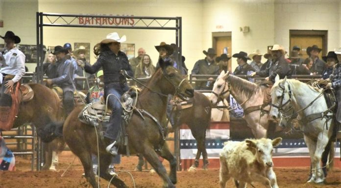 37th Annual Stars and Stripes Rodeo March 6-7