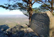 Alabama State Parks naturalists to provide virtual programming