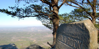 Alabama State Parks naturalists to provide virtual programming