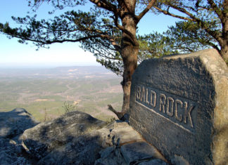 Alabama State Parks naturalists to provide virtual programming