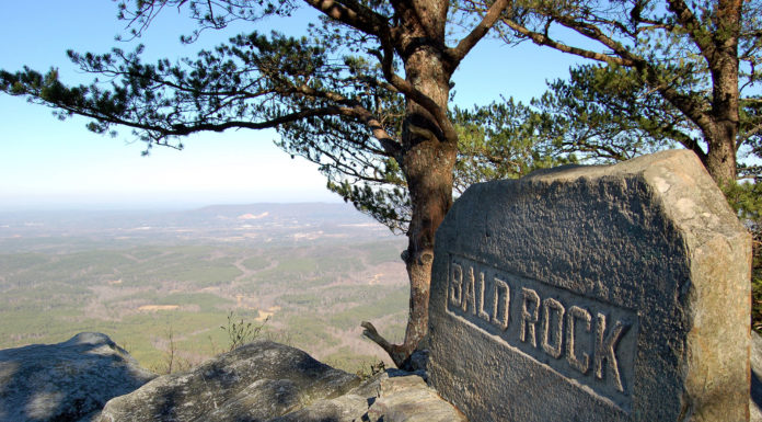 Alabama State Parks naturalists to provide virtual programming