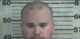 Hanceville man charged with torture of child