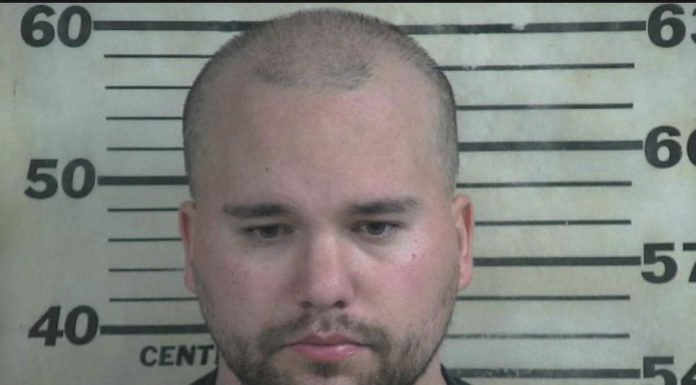 Hanceville man charged with torture of child