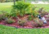 Spring landscaping tips from Cullman County Extension Coordinator Tony Glover