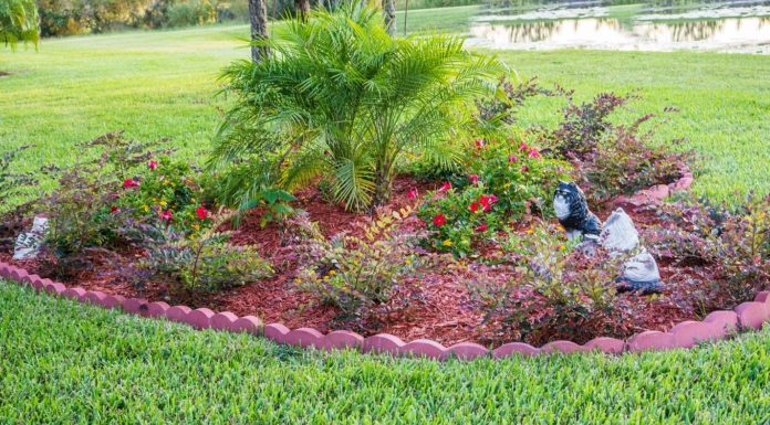 Spring landscaping tips from Cullman County Extension Coordinator Tony Glover