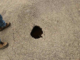 Arkadelphia residents find sinkhole forming under road