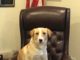 The newest and sweetest boy at Hanceville City Hall