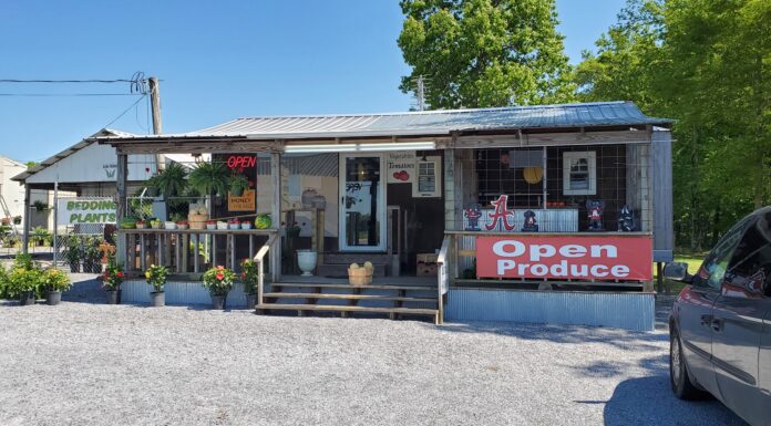 Tim’s Produce: Business ‘unusual good’ during pandemic