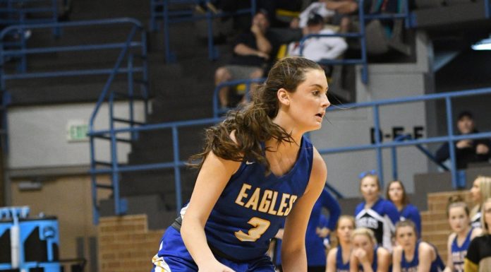 PREP BASKETBALL: Cold Springs standout Elizabeth Hill headed to Montevallo