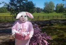 Bringing out the Best: Easter Bunny makes early visit to homes on Cullman’s south side