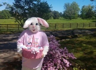 Bringing out the Best: Easter Bunny makes early visit to homes on Cullman’s south side