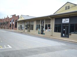 Business/industry owners/leaders: Survey on reopening the local economy