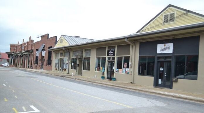 Business/industry owners/leaders: Survey on reopening the local economy