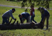 Bringing out the Best: Friends, family, even total strangers respond to storm victims