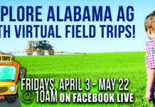 Upcoming virtual field trips to feature honeybees, catfish