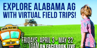 Upcoming virtual field trips to feature honeybees, catfish