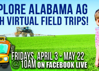 Upcoming virtual field trips to feature honeybees, catfish