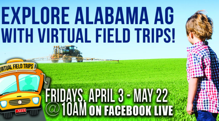 Upcoming virtual field trips to feature honeybees, catfish