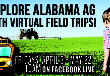 Alabama farmers to host virtual field trips every Friday through May 22