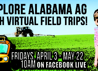 Alabama farmers to host virtual field trips every Friday through May 22