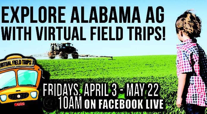 Alabama farmers to host virtual field trips every Friday through May 22