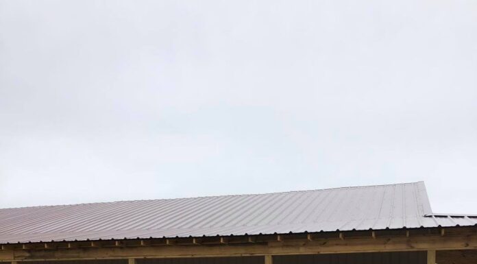 Mustard Seed Nursery hopes to be in new building June 1