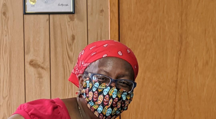 Colony mayor, council talk need for census responses, summer plans