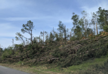 Update: NWS now confirms 4 Easter Sunday tornadoes in Cullman County