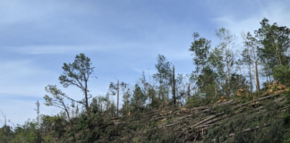 Update: NWS now confirms 4 Easter Sunday tornadoes in Cullman County