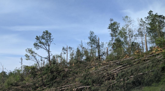 Update: NWS now confirms 4 Easter Sunday tornadoes in Cullman County