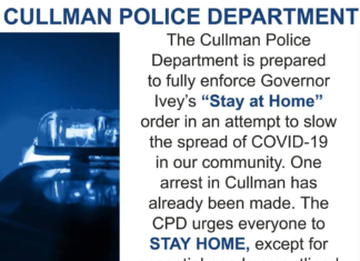 Can law enforcement really arrest people for violating the stay-at-home order?