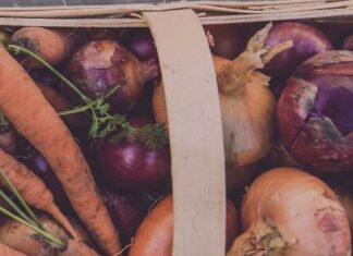 Agriplex update: programming paused, drive-up farmers’ market in full swing