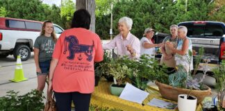 Plants for a purpose