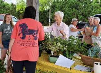 Plants for a purpose