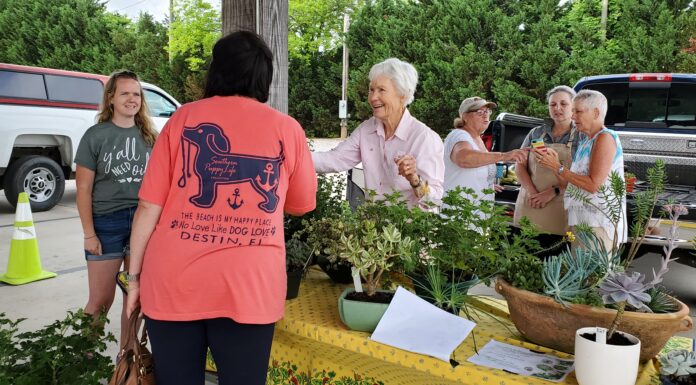 Plants for a purpose