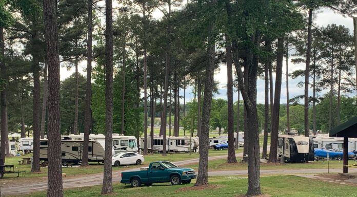 ‘They’ve got to have something to do’: Smith Lake Park Campground operating as normal